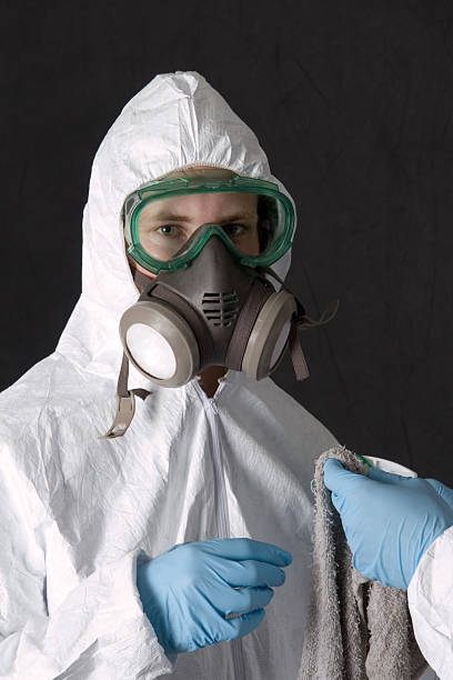 Mold Odor Removal Services